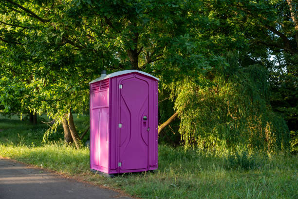 Portable Toilet Options We Offer in Carroll, IA